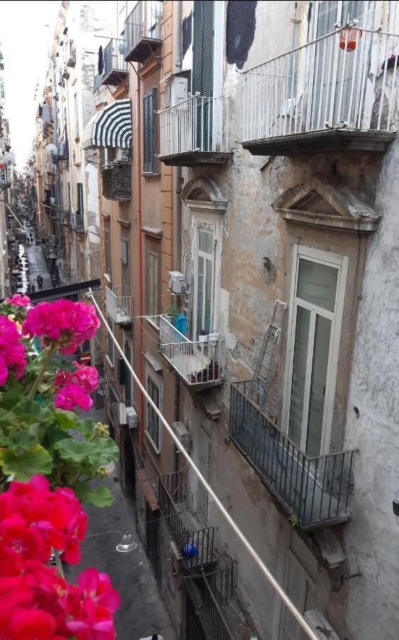 Holiday home Gelso Naples
